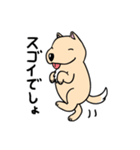 ドンタはおちゃめな犬（個別スタンプ：23）