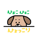 ワンコだわん。（個別スタンプ：16）