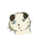 Mime Jung（個別スタンプ：5）
