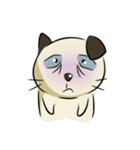Mime Jung（個別スタンプ：24）