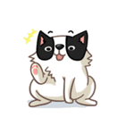 I'm Bangkaew.. wait WHAT！？（個別スタンプ：1）
