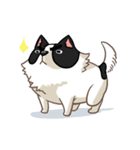 I'm Bangkaew.. wait WHAT！？（個別スタンプ：2）