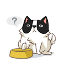I'm Bangkaew.. wait WHAT！？（個別スタンプ：7）