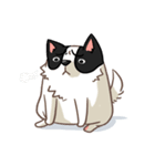I'm Bangkaew.. wait WHAT！？（個別スタンプ：11）
