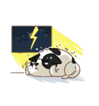 I'm Bangkaew.. wait WHAT！？（個別スタンプ：12）