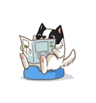 I'm Bangkaew.. wait WHAT！？（個別スタンプ：17）