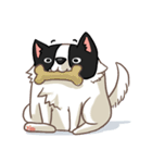 I'm Bangkaew.. wait WHAT！？（個別スタンプ：21）