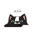I'm Bangkaew.. wait WHAT！？（個別スタンプ：23）
