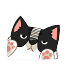 I'm Bangkaew.. wait WHAT！？（個別スタンプ：25）