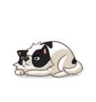 I'm Bangkaew.. wait WHAT！？（個別スタンプ：29）