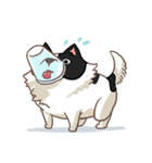 I'm Bangkaew.. wait WHAT！？（個別スタンプ：32）