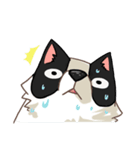 I'm Bangkaew.. wait WHAT！？（個別スタンプ：33）