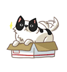 I'm Bangkaew.. wait WHAT！？（個別スタンプ：36）