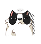 I'm Bangkaew.. wait WHAT！？（個別スタンプ：38）