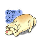 Fat Dog Slow Life（個別スタンプ：10）