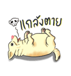 Fat Dog Slow Life（個別スタンプ：11）