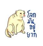 Fat Dog Slow Life（個別スタンプ：12）