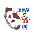Fat Dog Slow Life（個別スタンプ：14）