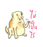 Fat Dog Slow Life（個別スタンプ：23）