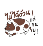 Fat Dog Slow Life（個別スタンプ：26）
