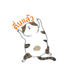 Kingdomoftigers Big Family（個別スタンプ：1）