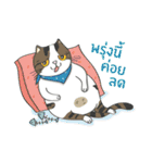 Kingdomoftigers Big Family（個別スタンプ：4）