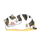 Kingdomoftigers Big Family（個別スタンプ：5）