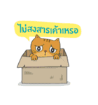 Kingdomoftigers Big Family（個別スタンプ：38）