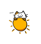 型崩れねこ（個別スタンプ：1）