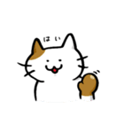 型崩れねこ（個別スタンプ：8）