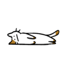 型崩れねこ（個別スタンプ：10）