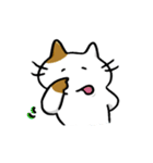 型崩れねこ（個別スタンプ：17）