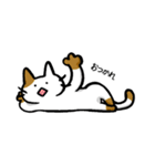 型崩れねこ（個別スタンプ：23）