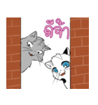 Life Of the stray cats（個別スタンプ：1）