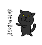 白猫黒猫（個別スタンプ：31）