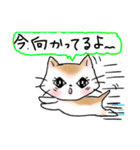 猫のニャンコと友達（個別スタンプ：30）