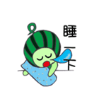 Watermelon guy（個別スタンプ：3）