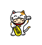 Taiwan Baby2（個別スタンプ：12）