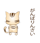 広島弁！野良猫のレオ（個別スタンプ：3）