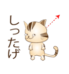 広島弁！野良猫のレオ（個別スタンプ：18）