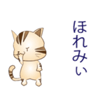 広島弁！野良猫のレオ（個別スタンプ：37）