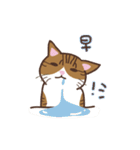 tan eat cat（個別スタンプ：28）