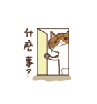 tan eat cat（個別スタンプ：30）