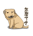 beauty-Dudu（個別スタンプ：2）
