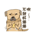beauty-Dudu（個別スタンプ：30）