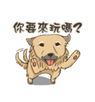beauty-Dudu（個別スタンプ：34）
