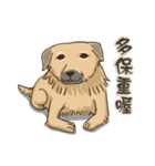 beauty-Dudu（個別スタンプ：37）