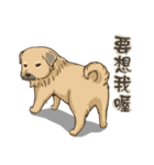 beauty-Dudu（個別スタンプ：39）