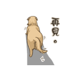 beauty-Dudu（個別スタンプ：40）