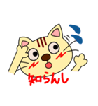 遠州弁大好きネコちゃん（個別スタンプ：11）